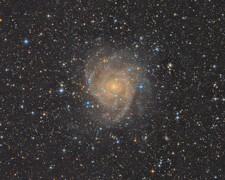 IC 342