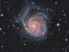M 101