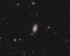 M109