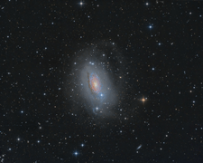 M63