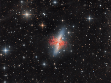 M82