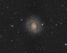 M94