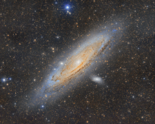 M31
