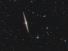 NGC 4565