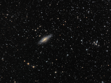 NGC 7331