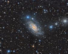 NGC 2403