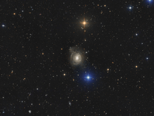 NGC 2655