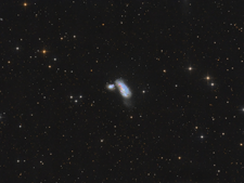 NGC 4490 NGC 4485