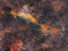 IC1318a - der Delphinnebel