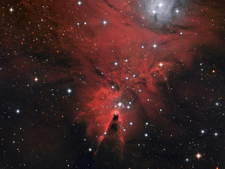 NGC 2264 der Konusnebel