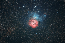 Trifid Nebel