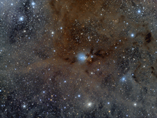 NGC 1333