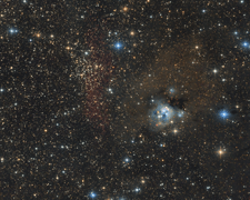 NGC 7129 und NGC 7142