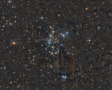 NGC 1342
