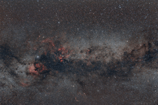 Cygnus