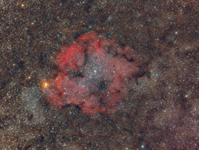 IC 1396