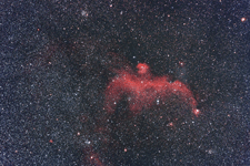 IC 2177