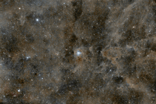 NGC 7023 Widefield