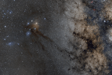 Rho Ophiuchus